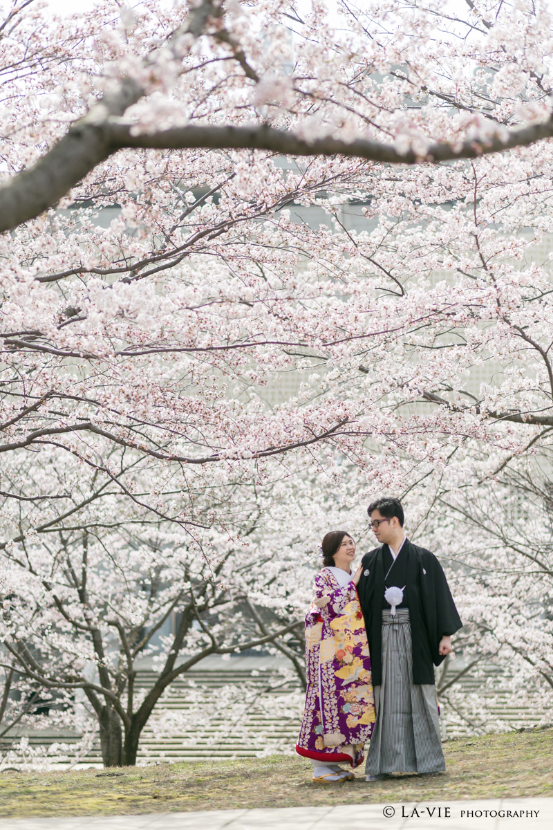 満開の桜のしたで