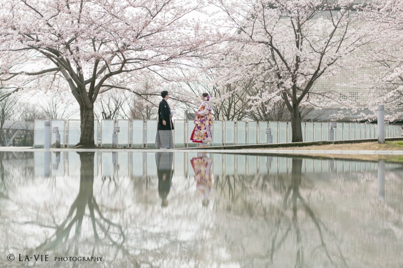 平成最後のさくら