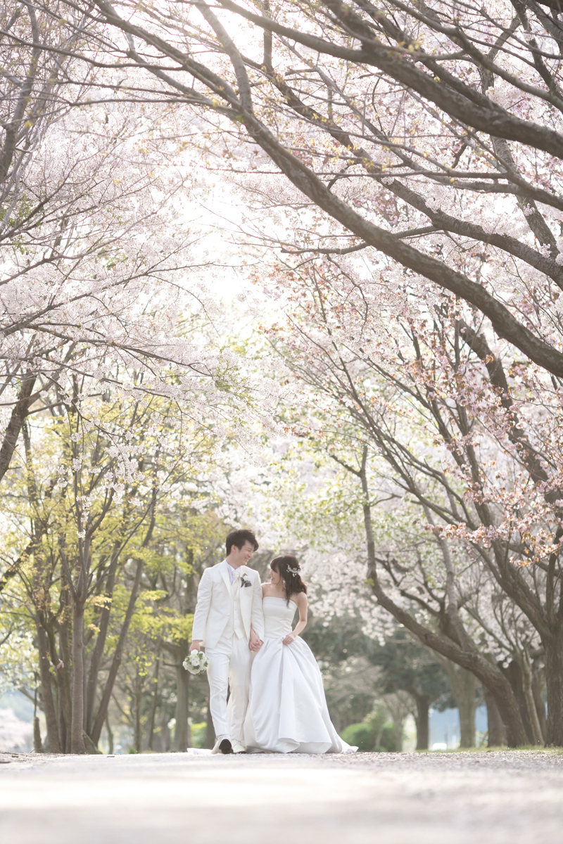 桜の下でロケーション撮影
