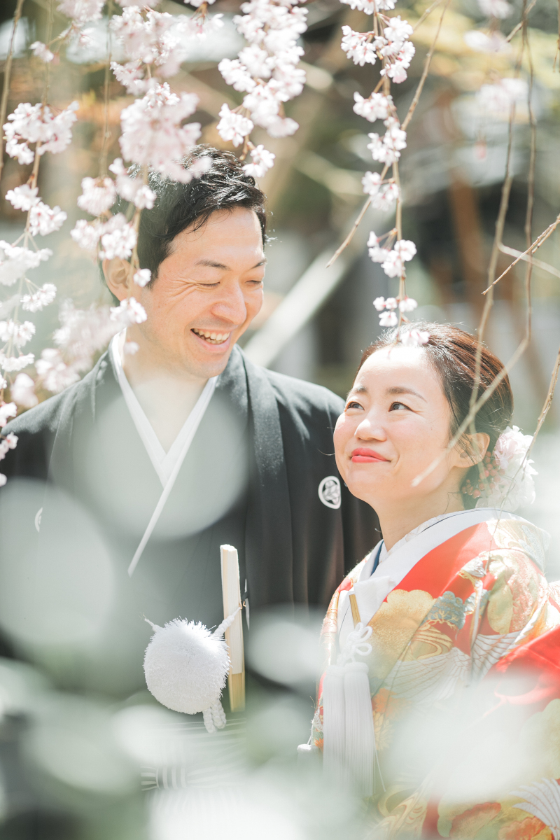 しっとりと風情のある写真