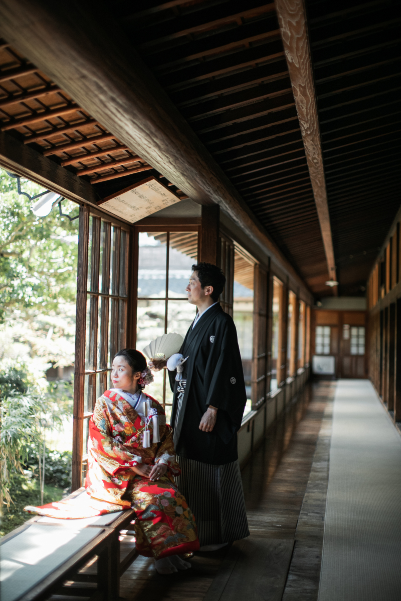 30mにもなる天然絞りの杉