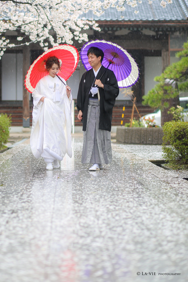 桜と雨と白無垢