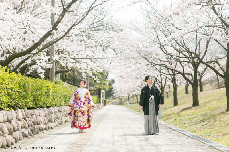 今年もやってくる桜の季節