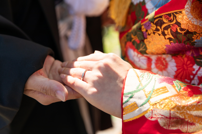 お手元の写真も