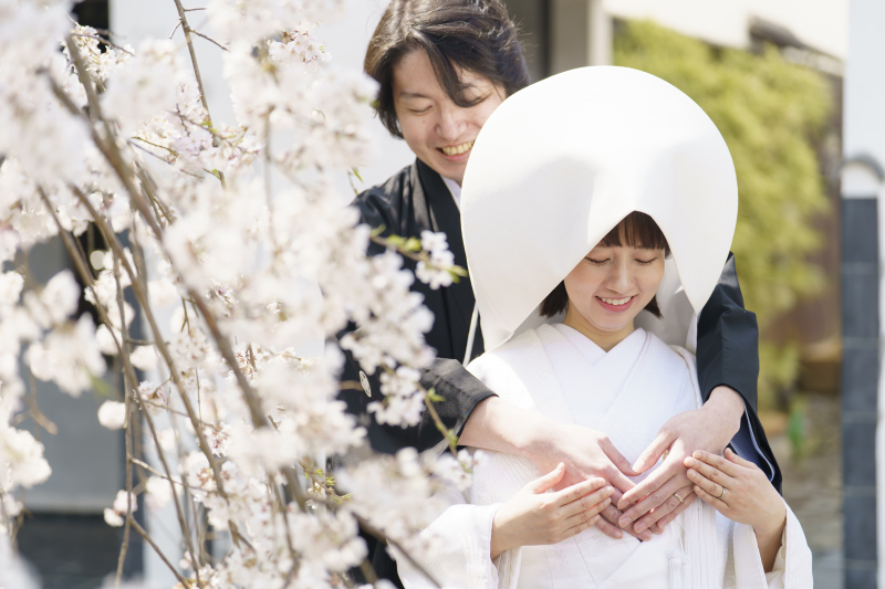 桜咲く八幡堀にて
