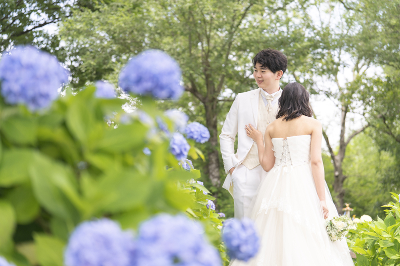 紫陽花ロケーション