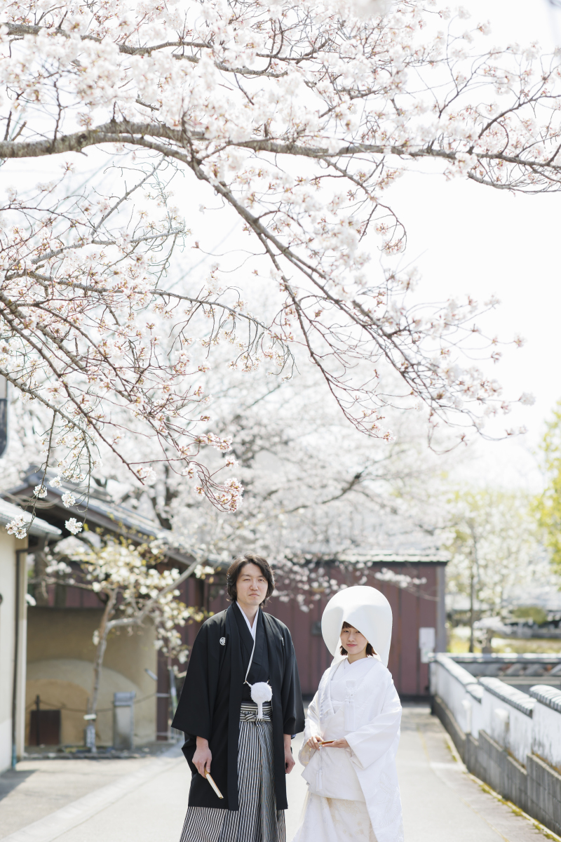 八幡堀の桜ロケーション