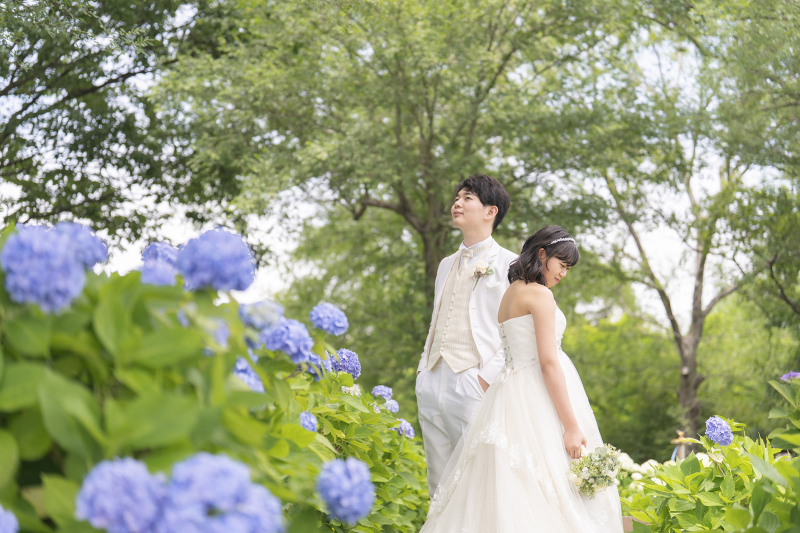 紫陽花ロケーション