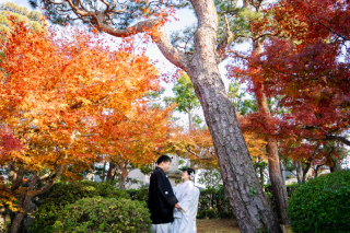 紅葉のきれいな季節に