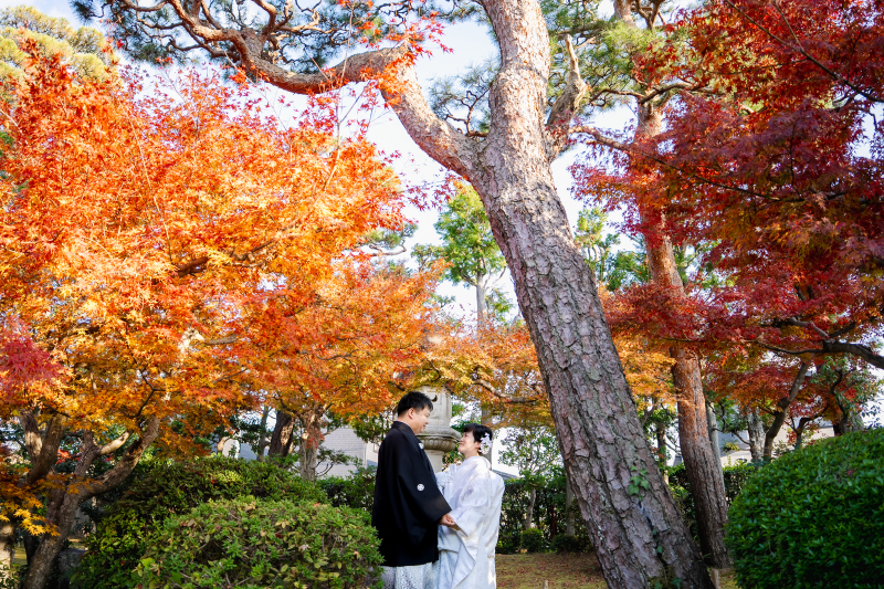 紅葉のきれいな季節に