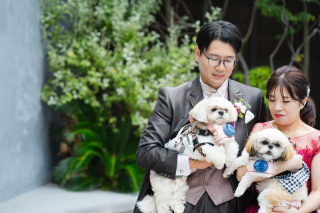 たいせつな愛犬と♪