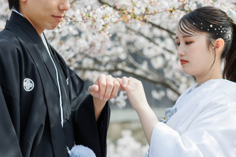 イメージカット