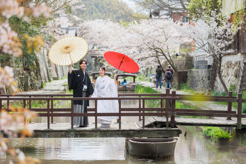 桜ロケーション