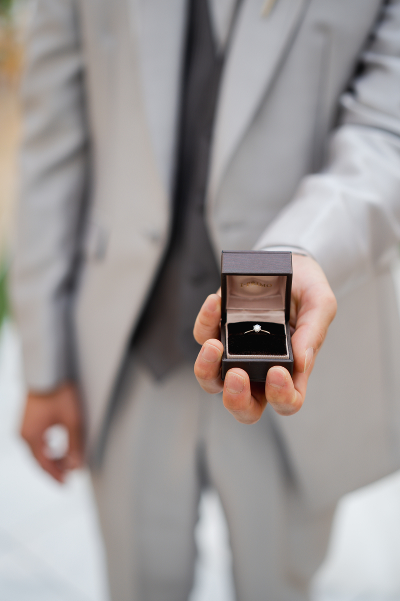 こんなカットも