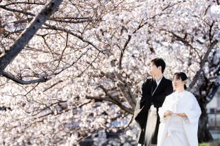 桜＆ロケーション撮影