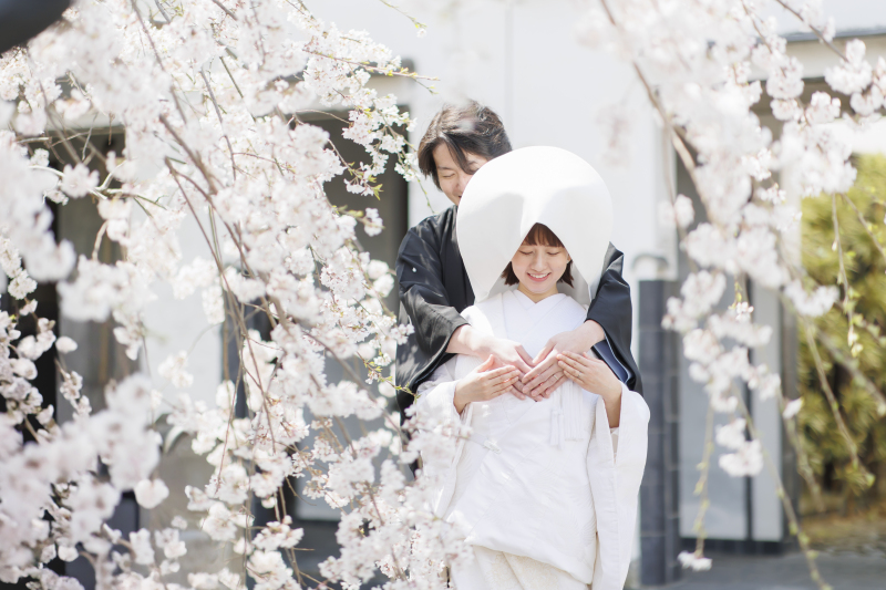 桜にかこまれて