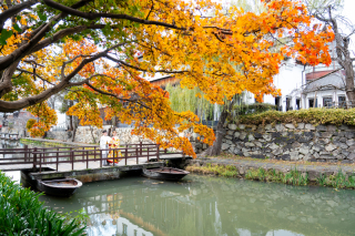 ONE DAY PHOTO ヴィラ・アンジェリカ_和装ロケ：八幡堀