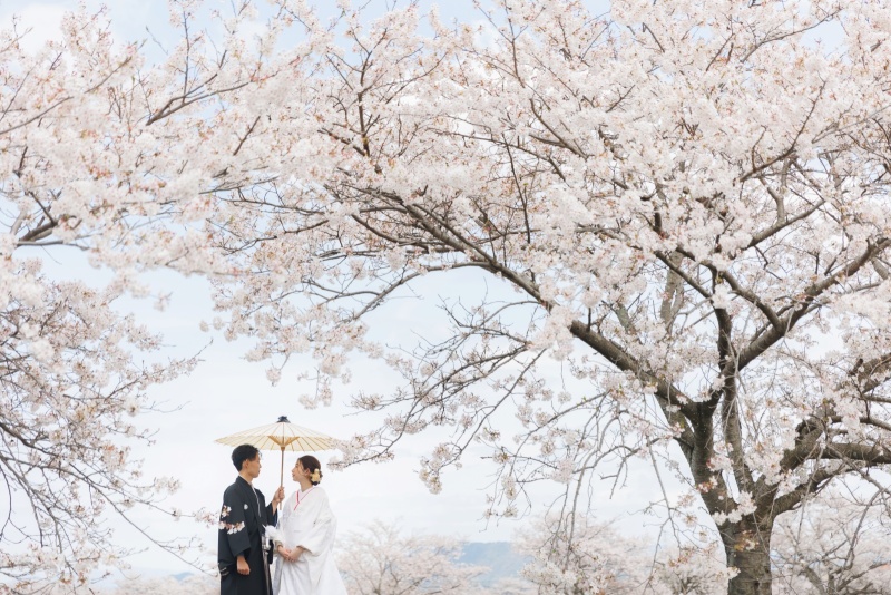 募集開始『桜フォト』和装ロケーションプラン★予備日設定無料