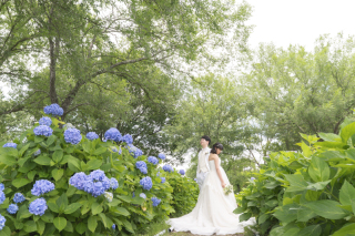 琵琶湖or紫陽花◎洋装ロケーション◎６月までの期間限定◎データ増量【プラス30カット】衣装は100着以上から選べます◎
