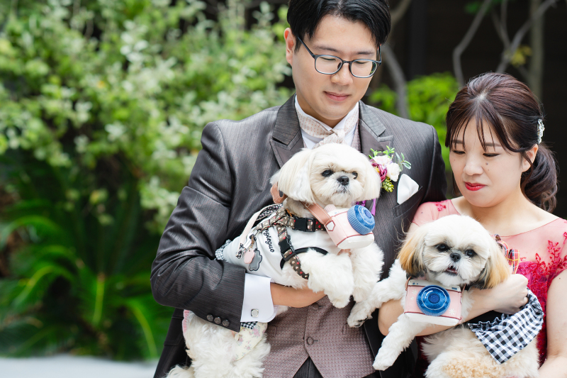 【ペットも大切な家族】追加料金なし！洋装1点撮影プラン　全データ付き