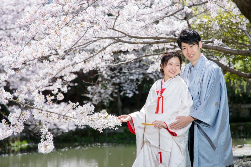 募集開始『桜フォト』和装ロケーションプラン★予備日設定無料