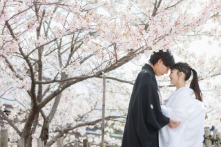 人気の桜フォト。限られた期間だけの特別なフォトウェディングプラン