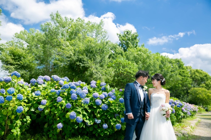 ６月限定【紫陽花フォト】洋装1点ロケーションプラン　全データ付き
