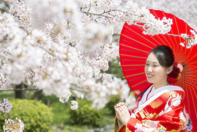 募集開始『桜フォト』和装ロケーションプラン★予備日設定無料