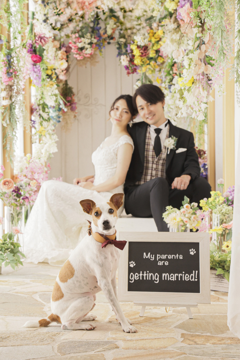 【ペットと一緒に！】和洋装3着で撮影・全データ150カット・ムービー・写真集・ウェルカムボード◆美肌修整付