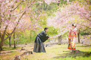 和装、洋装セットプラン