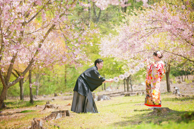 和装、洋装セットプラン