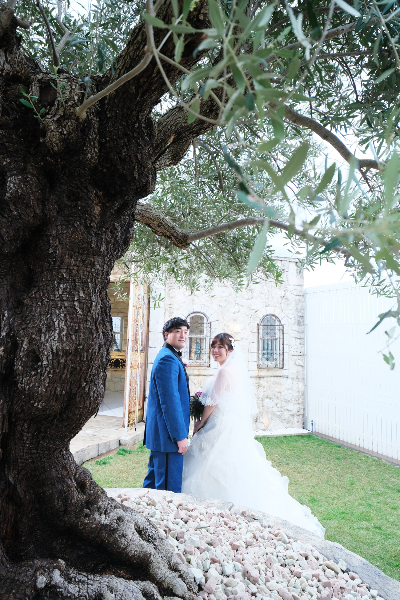 大きなオリーブ越しの振り返りショット