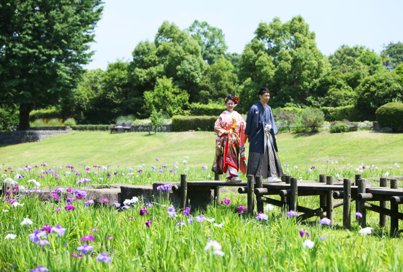 菖蒲のころ。。。