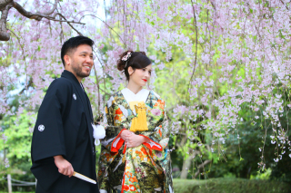 桜の撮影、ベストタイミング！！！