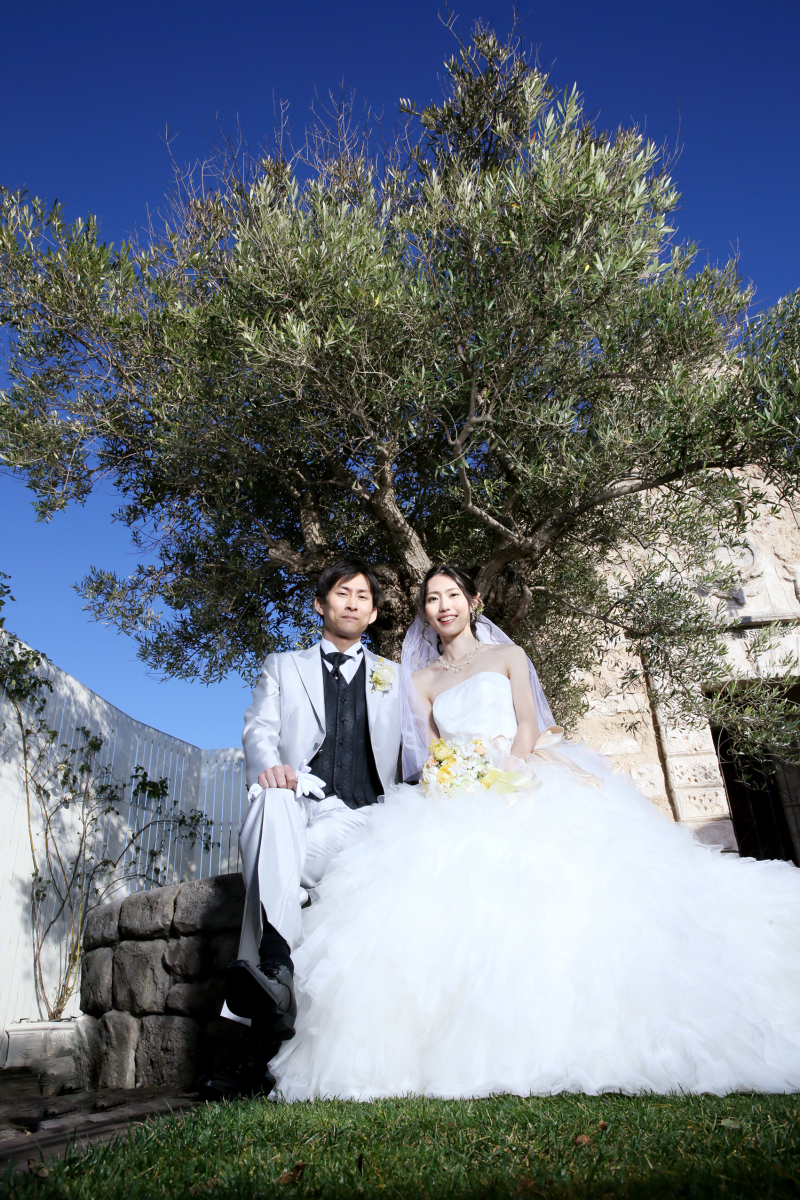 ＊オリーブの樹の下で＊