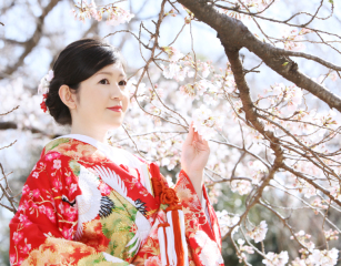 春の和装フォト＊＊＊