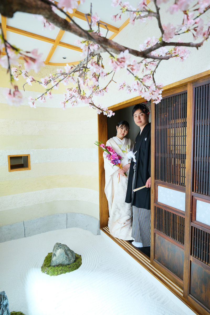 白無垢と桜