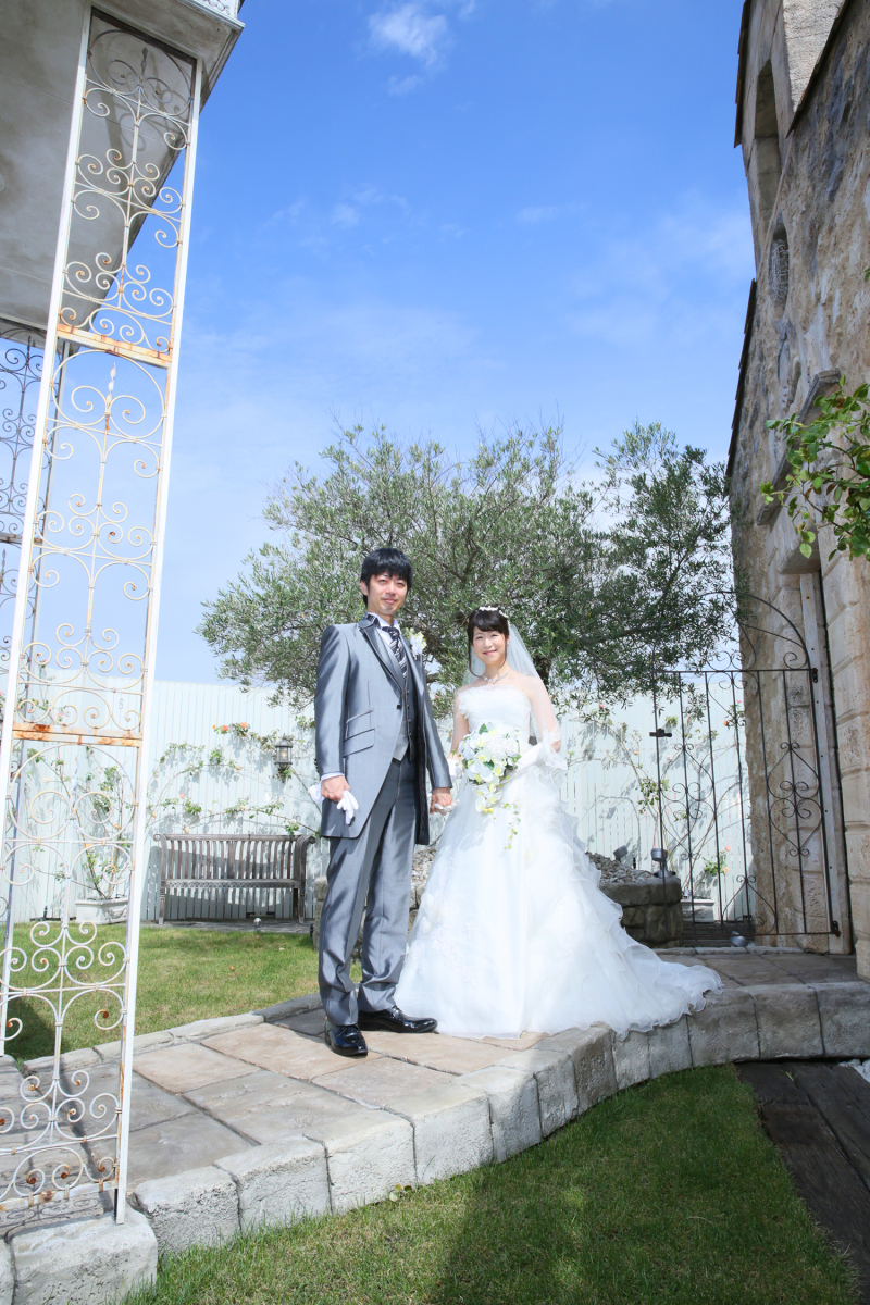 オリーブと青空と