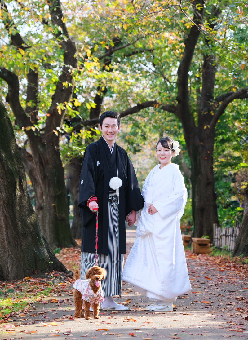 桜並木の紅葉とわんちゃん