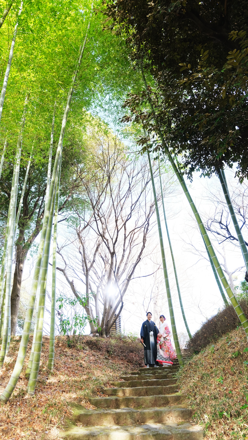 すっと伸びる竹とともに