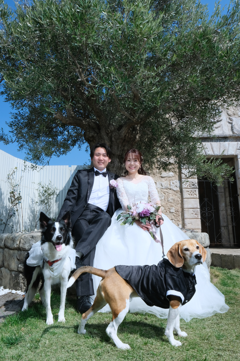 ＊ペットと洋装×Allデータ＊