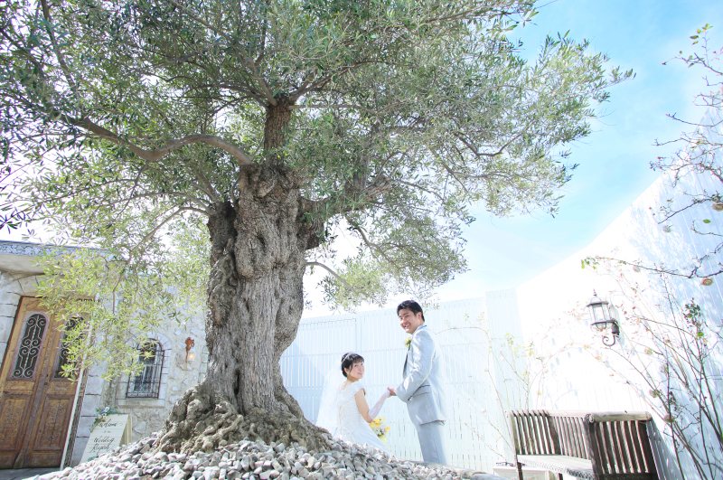 ＊オリーブとともに＊