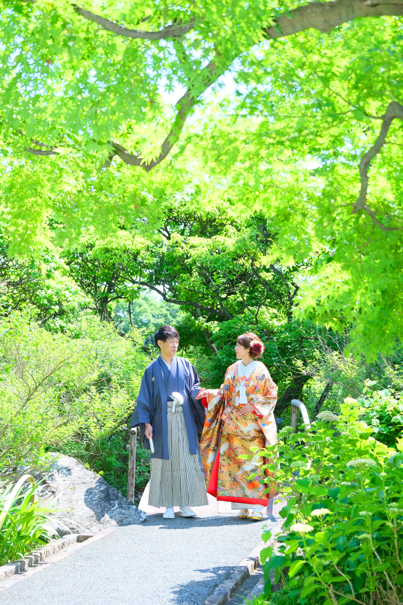 ＊花田苑の新緑たち＊