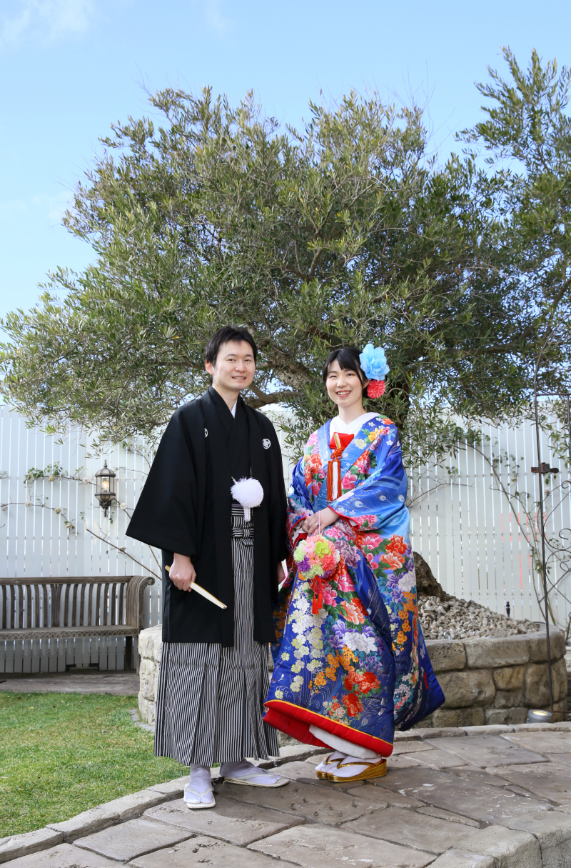 オリーブと打掛♡