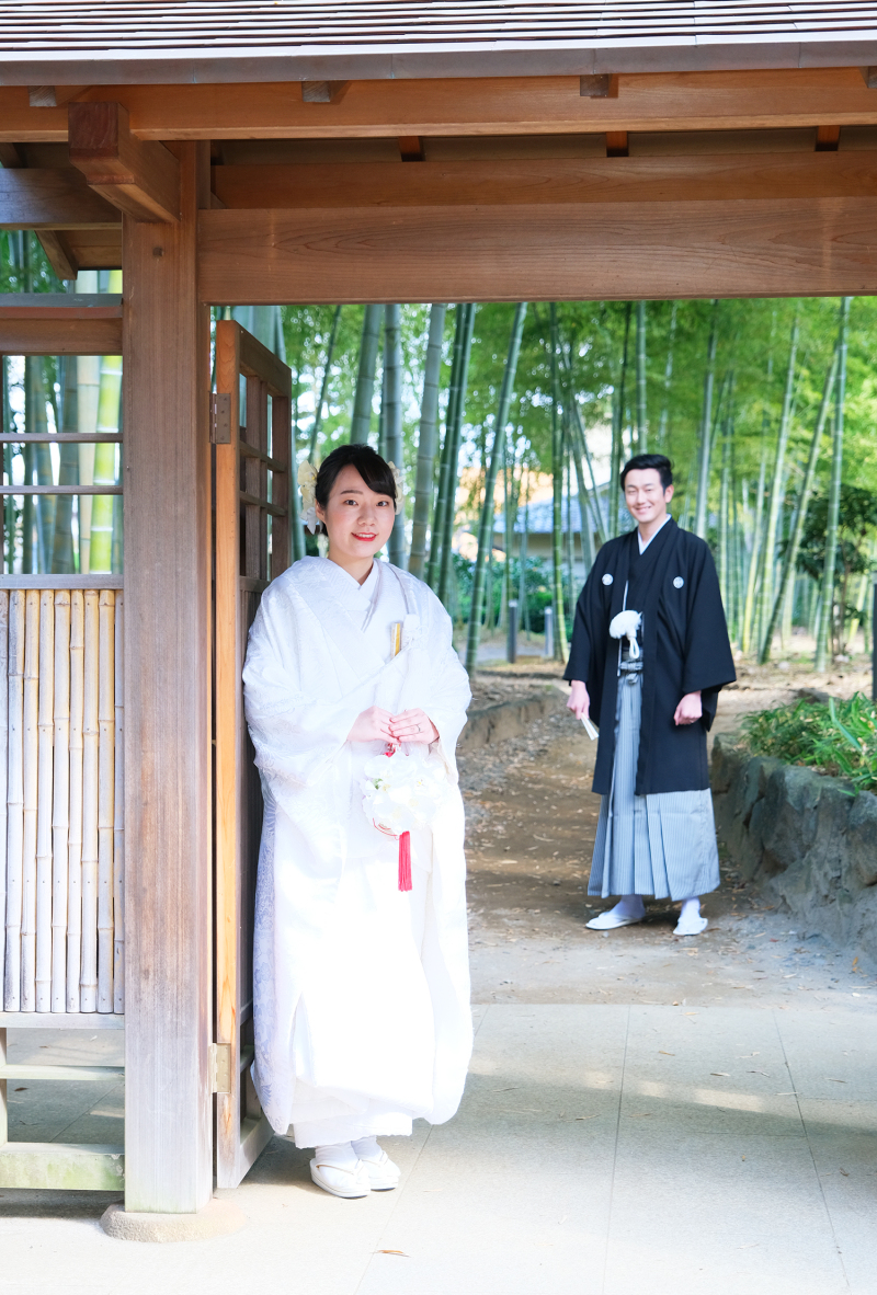 竹林のある風景