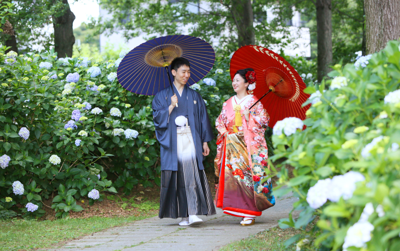 紫陽花の散歩道♪