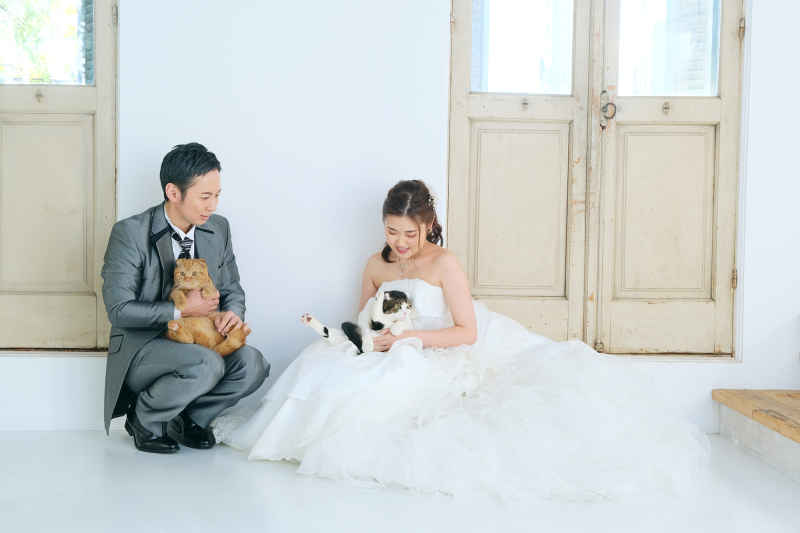 ＊＊withにゃんこフォト＊＊