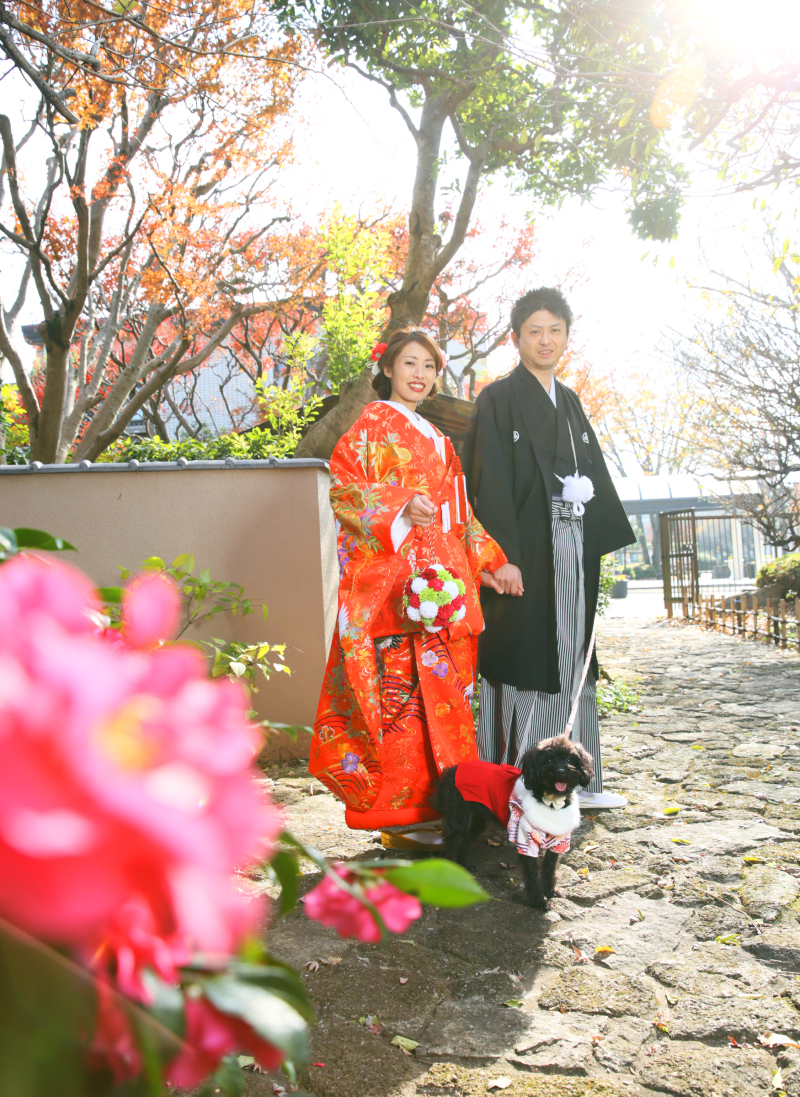 日差しのあるスナップ写真♪