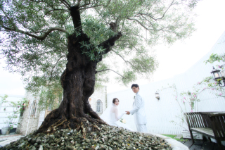 良かった×2 & ステキだった×2