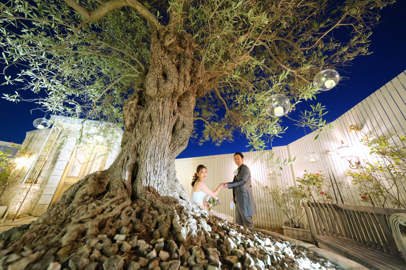 ＊＊大きな樹のある夜景＊＊